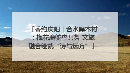 香约庆阳｜合水黑木村：梅花鹿鸵鸟共舞 文旅融合绘就“诗与远方”