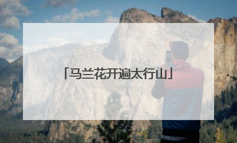 马兰花开遍太行山