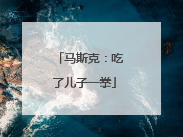 马斯克：吃了儿子一拳