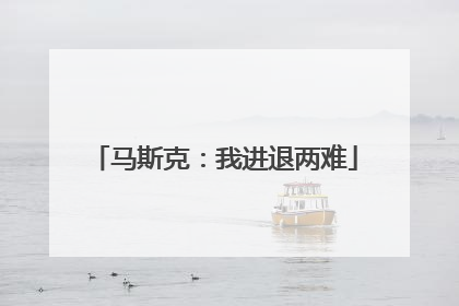 马斯克：我进退两难