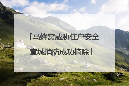 马蜂窝威胁住户安全 宣城消防成功摘除