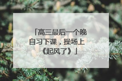 高三最后一个晚自习下课，操场上《起风了》