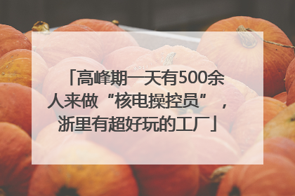 高峰期一天有500余人来做“核电操控员”，浙里有超好玩的工厂