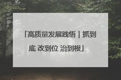 高质量发展践悟｜抓到底 改到位 治到根