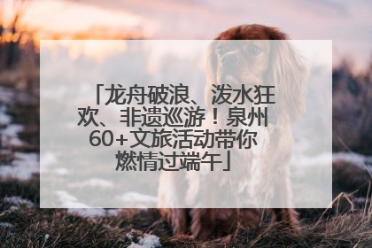 龙舟破浪、泼水狂欢、非遗巡游！泉州60+文旅活动带你燃情过端午