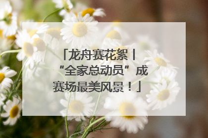 龙舟赛花絮丨 “全家总动员”成赛场最美风景！