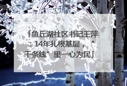 鱼丘湖社区书记王萍：14年扎根基层，“千条线”里一心为民