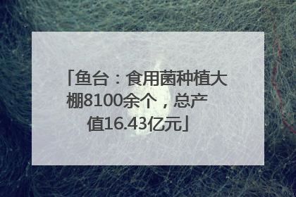 鱼台：食用菌种植大棚8100余个，总产值16.43亿元