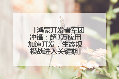 鸿蒙开发者军团冲锋：超3万应用加速开发，生态规模战进入关键期