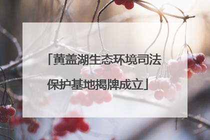 黄盖湖生态环境司法保护基地揭牌成立