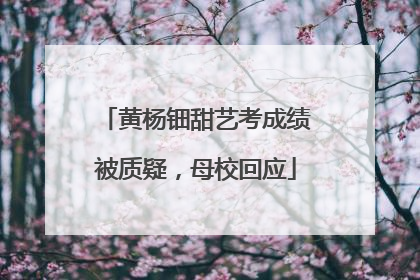 黄杨钿甜艺考成绩被质疑，母校回应