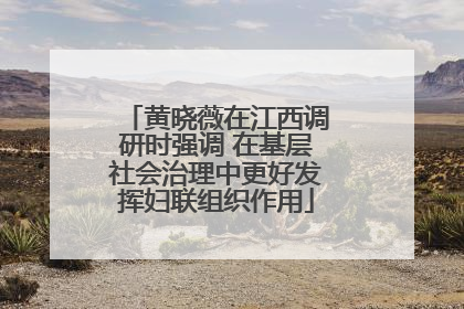 黄晓薇在江西调研时强调 在基层社会治理中更好发挥妇联组织作用