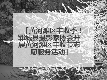 黄河滩区丰收季！郓城县摄影家协会开展黄河滩区丰收节志愿服务活动