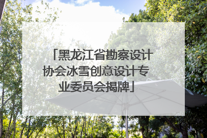 黑龙江省勘察设计协会冰雪创意设计专业委员会揭牌