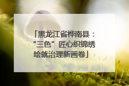 黑龙江省桦南县：“三色”匠心织锦绣 绘就治理新画卷
