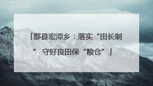 黟县宏潭乡：落实“田长制” 守好良田保“粮仓”