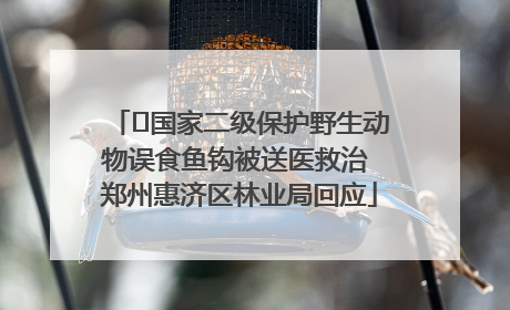 ﻿国家二级保护野生动物误食鱼钩被送医救治 郑州惠济区林业局回应