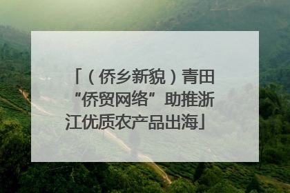 （侨乡新貌）青田“侨贸网络”助推浙江优质农产品出海