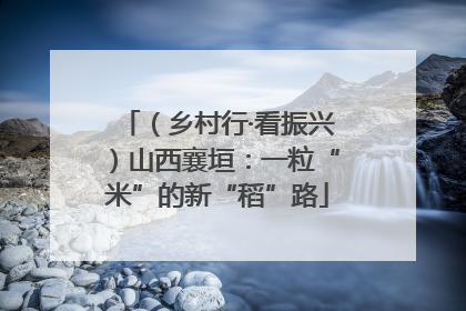 （乡村行·看振兴）山西襄垣：一粒“米”的新“稻”路