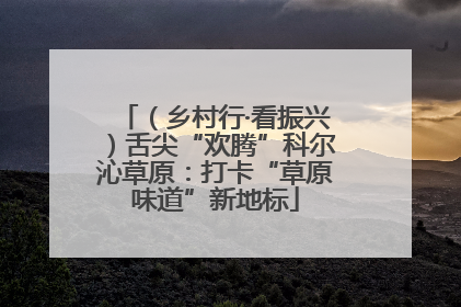 （乡村行·看振兴）舌尖“欢腾”科尔沁草原：打卡“草原味道”新地标