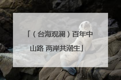 （台海观澜）百年中山路 两岸共潮生