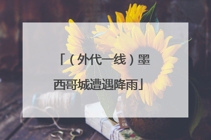 （外代一线）墨西哥城遭遇降雨
