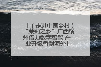 （走进中国乡村）“茉莉之乡”广西横州借力数字智能 产业升级香飘海外