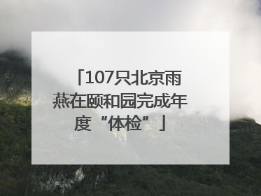 107只北京雨燕在颐和园完成年度“体检”