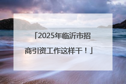 2025年临沂市招商引资工作这样干！
