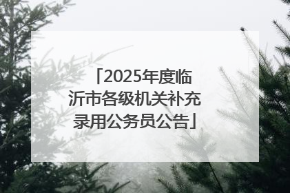 2025年度临沂市各级机关补充录用公务员公告
