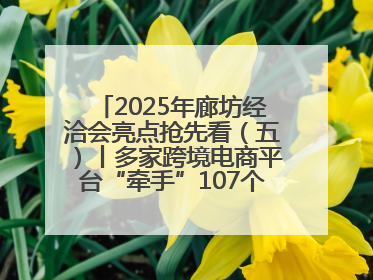 2025年廊坊经洽会亮点抢先看（五）丨多家跨境电商平台“牵手”107个特色产业集群