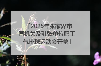 2025年张家界市直机关及驻张单位职工气排球运动会开幕