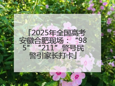 2025年全国高考安徽合肥现场：“985”“211”警号民警引家长打卡