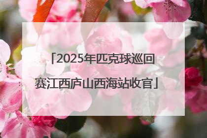 2025年匹克球巡回赛江西庐山西海站收官
