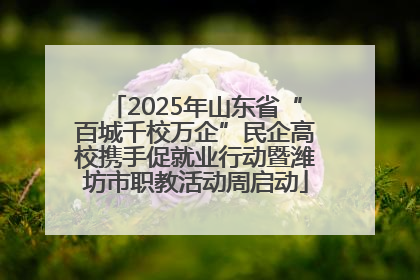 2025年山东省“百城千校万企”民企高校携手促就业行动暨潍坊市职教活动周启动