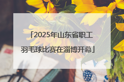 2025年山东省职工羽毛球比赛在淄博开幕