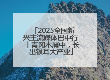 2025全国新兴主流媒体巴中行丨青冈木屑中，长出银耳大产业