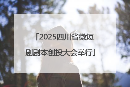 2025四川省微短剧剧本创投大会举行