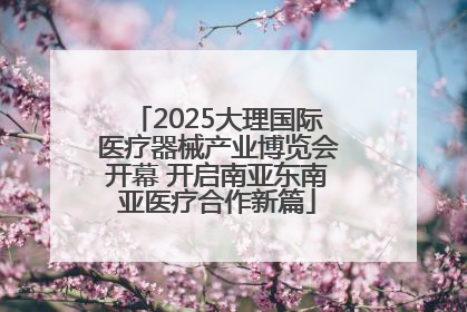 2025大理国际医疗器械产业博览会开幕 开启南亚东南亚医疗合作新篇
