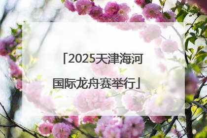 2025天津海河国际龙舟赛举行
