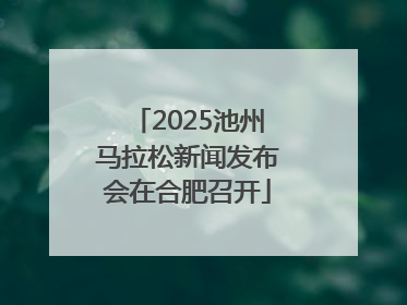 2025池州马拉松新闻发布会在合肥召开