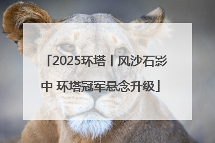 2025环塔丨风沙石影中 环塔冠军悬念升级