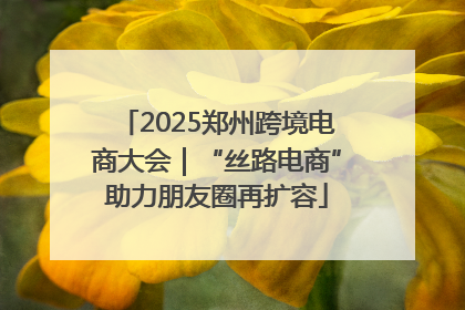 2025郑州跨境电商大会｜“丝路电商”助力朋友圈再扩容