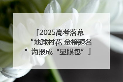 2025高考落幕 “地球村花 金榜题名”海报成“显眼包”