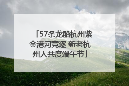 57条龙船杭州紫金港河竞逐 新老杭州人共度端午节