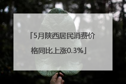 5月陕西居民消费价格同比上涨0.3%