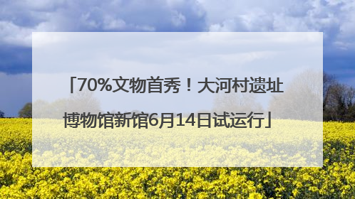 70%文物首秀！大河村遗址博物馆新馆6月14日试运行