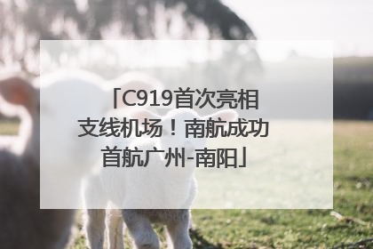 C919首次亮相支线机场！南航成功首航广州-南阳