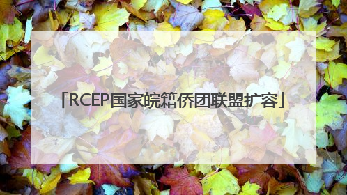 RCEP国家皖籍侨团联盟扩容